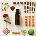 thumbnail image 2 of Brilliant Scents - Mystic Moonlight | Inspired by Melia Hotel | Luxury Home & Business Scent | Green Bergamot, Warm Nutmeg - Fragrance Oil - 200ml, 2 of 2