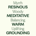 thumbnail image 4 of Plant Therapy Myrrh Essential Oil 100% Pure, Undiluted, Natural Aromatherapy 30 mL (1 oz), 4 of 8