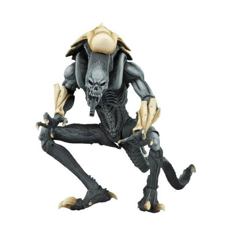 Alien vs Predator - 7