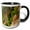 Black/White, variant on 3drose, Rock Climbing, Cathedral Ledge Echo Lake Nh - Us30 Jmo1481 - Jerry and Marcy Monkman, 11oz Magic Transforming Mug