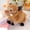 brown, variant on Cute Realistic Wild Boar Plush Toy, Soft Warthog Stuffed Animal, Kawaii Forest Wildlife Cuddle Buddy, Perfect Gift for Kids Adults Animal Lovers