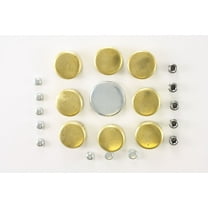 Pioneer PE-100-BR Engine Expansion Plug Kit