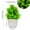 Pineapple Grass, variant on Mini Artificial Potted Plants, Assorted Plastic Faux Greenery Bushes with White Square Planters, Small Fake Plant Potted Set for Office Desk, Bathroom Shelf, Kitchen Counter, Apartment & Farmh