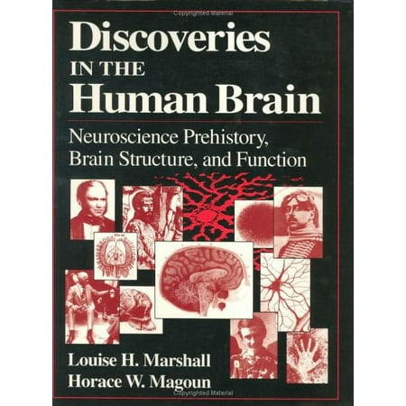 Pre-Owned Discoveries in the Human Brain: Neuroscience Prehistory, Brain Structure, and Function (Hardcover) 0896034356 9780896034358