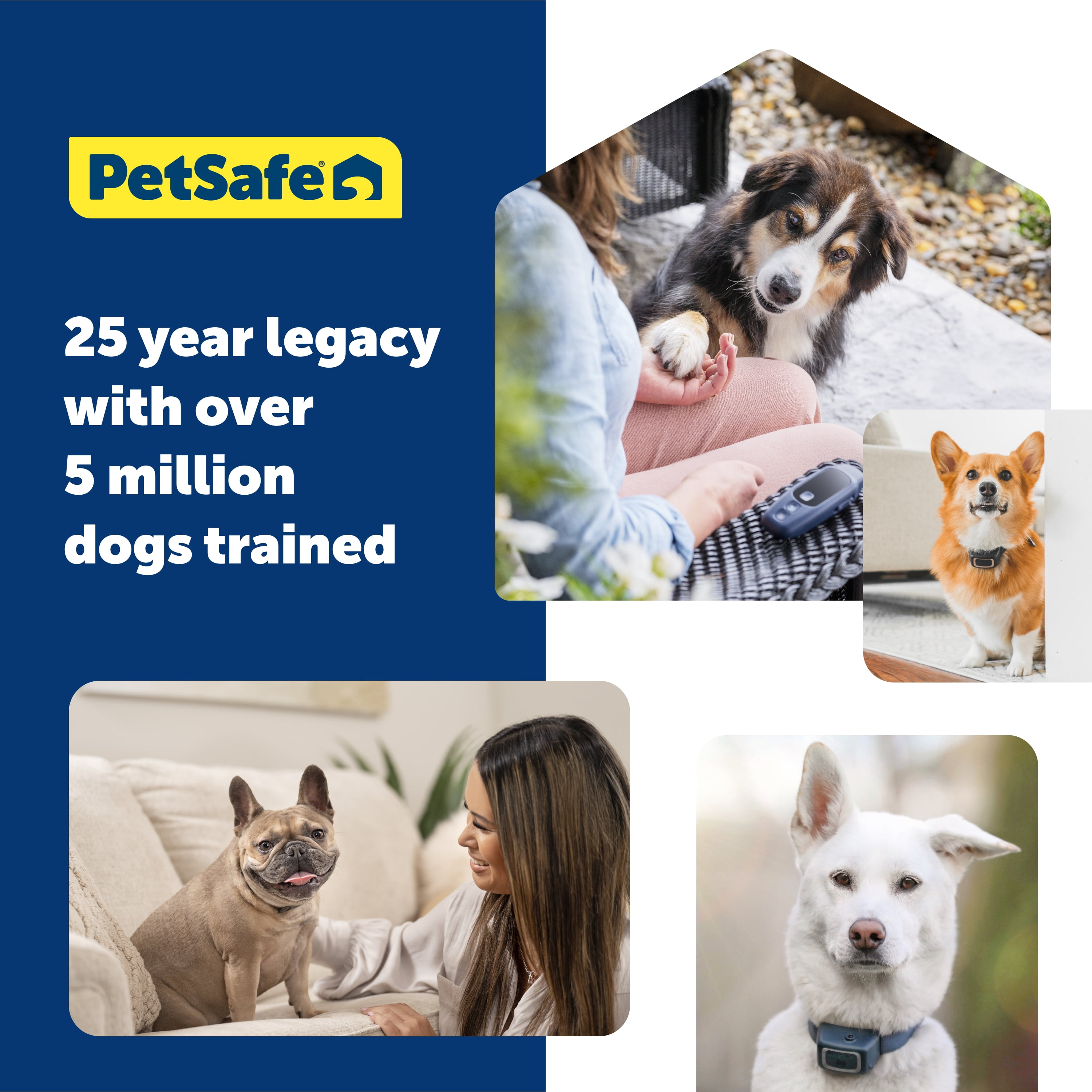 PetSafe Basic Dog Trainer with Remote – 300 ft Range – Tone, Vibration and Eight Levels of Static