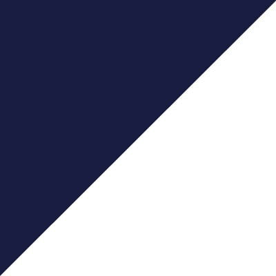 Navy/White