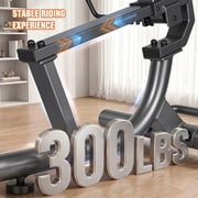 Naipo Recumbent Exercise Bike Stationary Bike 300LBS Weight Capacity Indoor Exercise Bike for Seniors with 16 Levels Magnetic Resistance with LCD Monitor Heart Rate Handle for Home