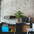 thumbnail image 5 of Faux Fiddle Leaf Fig Tree, 5 of 7