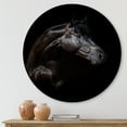 thumbnail image 2 of Designart 'Silhouette Of Horse and Woman' Farmhouse Circle Metal Wall Art 23x23 - Disc of 23, 2 of 5