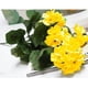 thumbnail image 5 of Planta de flor de geranio artificial de tela de seda de plástico, decoración floral artificial para el hogar para uso en interiores y exteriores, 5 of 7