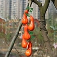 thumbnail image 2 of Simulación de patata vegetal artificial Simulación de calabaza Calabaza larga, 2 of 9