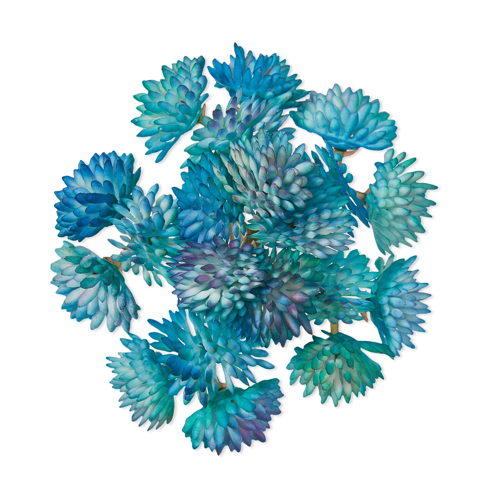 Mainstays Artificial Succulent Pick 3.75 inch x 5 inch Blue Sedum