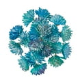 thumbnail image 5 of (2 pack) Mainstays Artificial Succulent Pick 3.75 inch x 5 inch Blue Sedum, 5 of 6