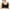 02-Black, variant on Daystry Womens Wireless Bras Full Coverage Comfortable Seamless Everyday Bras Soft Light Support Bras
