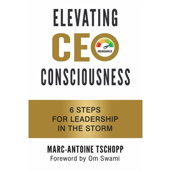 Elevating CEO Consciousness: 6 Steps for Leadership in the Storm, (Paperback)
