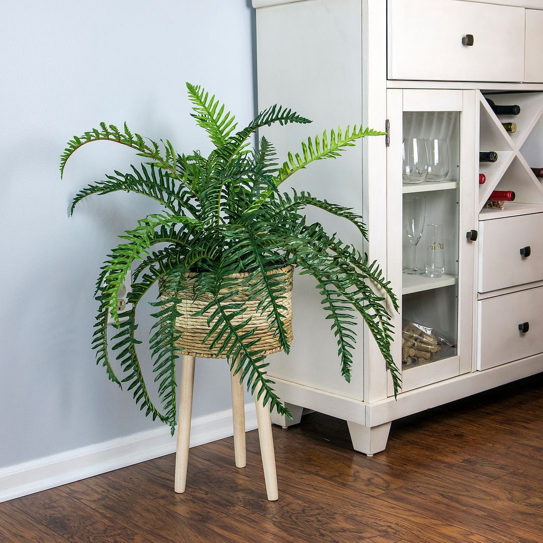 LCG Florals 38" Artificial Trailing River Fern in Tri-Color Tripod Basket Stand