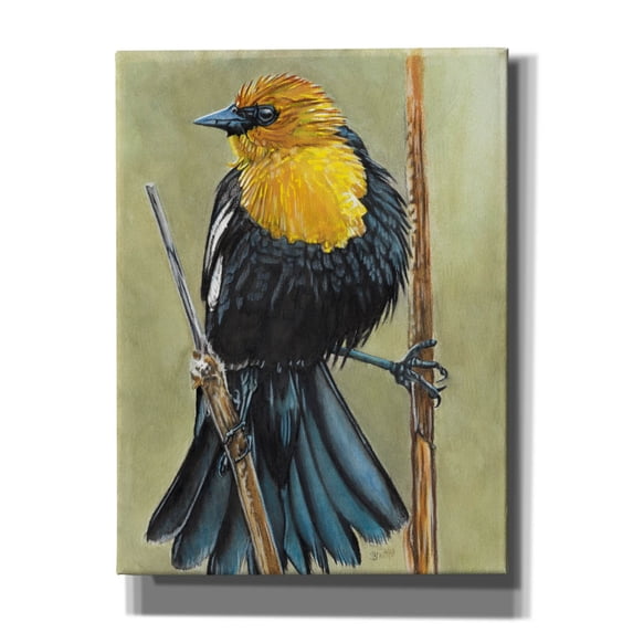 Epic Graffiti 'Smug' by Barbara Keith, Canvas Wall Art, 12"x16"