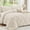 Beige, variant on Sasttie Queen Size Comforter Set, 7-Piece Bed in a Bag, Pintuck Bedding Sets for All Season, Light Grey