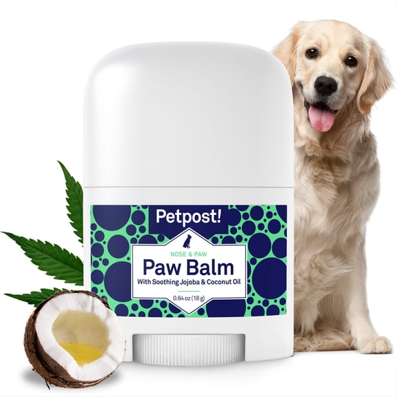 Petpost Paw Balm for Dogs - Organic Coconut Oil, Jojoba & Shea Butter - Soothes Dry, Cracked, Itchy Paws - Natural Moisturizing Cream for Rough Pads