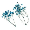 thumbnail image 1 of Gypsophi Panicuta de hojas secas Gloria para decoración azul, 1 of 9