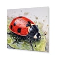 thumbnail image 2 of Designart "Ladybugs in Red and Black III" Animals Metal Wall Decor, 2 of 5