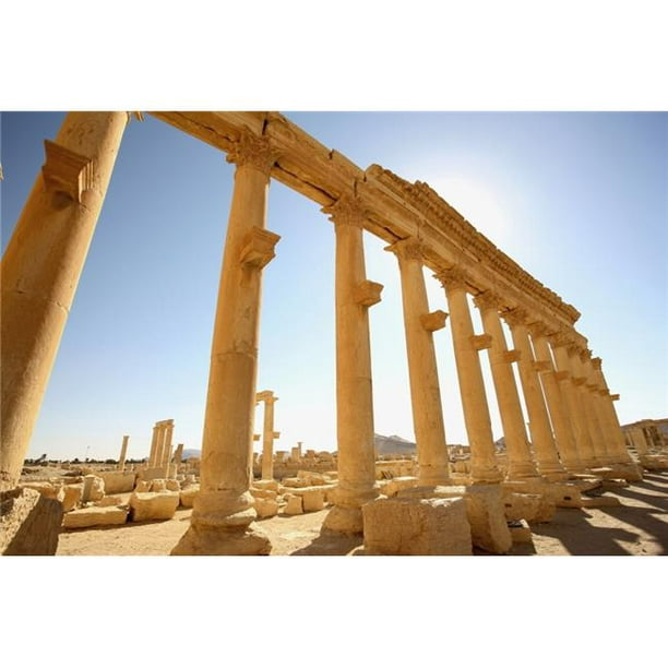Posterazzi DPI1892499LARGE Affiche Ancienne de Palmyre, 38 x 24 - Grande