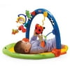 Fisher Price 3-in-1 Gym