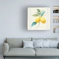 thumbnail image 2 of Trademark Fine Art 'Flour sack Lemons III Sq Navy' Canvas Art by Danhui Nai, 2 of 4