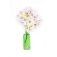 thumbnail image 2 of Looney, Hollice 17x24 White Modern Wood Framed Museum Art Print Titled - Maryland-Bethesda Green vase with cherry blossoms, 2 of 4