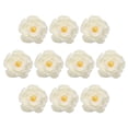 thumbnail image 1 of Uxcell Paquete de 10 Cabezas de Peonías Artificiales, Cabeza de Rosa de Seda Falsa para Bodas/Ramo/Pared de Flores/Artesanías DIY [8cm, Blanco], 1 of 7