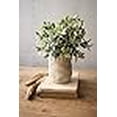 thumbnail image 3 of Artificial Sage With Criss Cross Rustic White Pot, 3 of 3