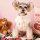 thumbnail image 2 of Warm Bear Down Jacket Coat Pet Dog Clothes Cartoon Thicken Clothing Dogs Small Cute Chihuahua Print Autumn Winter White Boy Gift ShopWise Round, 2 of 8