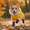 thumbnail image 4 of Dog Accessories, Dog Socks, Dog Boots & Paw Protectors, Pet Supplies for Dogs, Puppy Accessories, Red Water-Resistant Anti-Slip Traction Dog Socks, Adjustable Durable 4-Pack Paw, 4 of 7