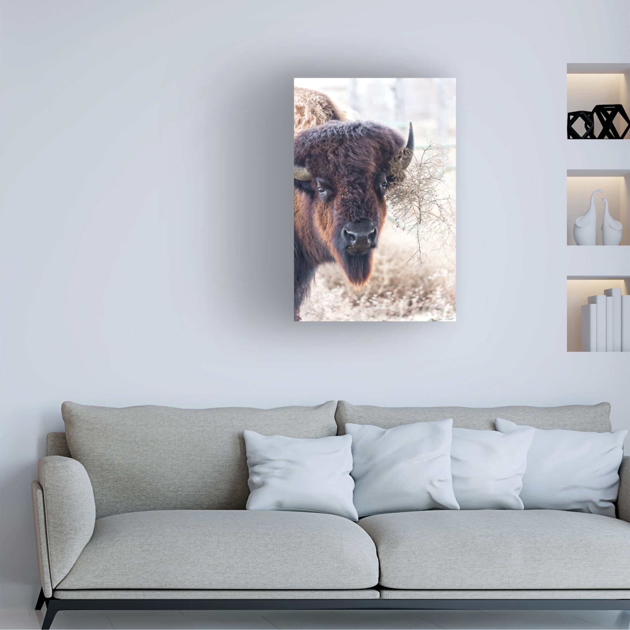 Trademark Fine Art David Drost Standing Buffalo I Canvas Wall Art