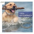thumbnail image 5 of Paquete de 2 collares antipulgas Scalibor Msd para perros grandes/65 cm, 5 of 5