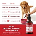 thumbnail image 6 of Cranberry Supplement for Dogs - Cranberry Extract for Dogs - Urinary Tract and Bladder Support - Kidney and Urine pH Support - Liquid Drops for Dogs and Cats - Bacon Flavor - 2 oz, 6 of 6