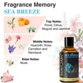 thumbnail image 6 of MAYJAM Premium Fragrance Oil, Long-Lasting, Reinvigorating Uplifting Aroma for Aromatherapy, Relaxation & Household Uses. Sea Breeze 3.38oz, 6 of 8