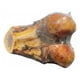 thumbnail image 1 of HUESO DE RODILLA DE RES, 1 of 1