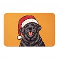 thumbnail image 3 of Christmas Dog Doormat, Orange Cute Puppy with Santa Hat, 24x16 Inch Non-Slip Absorbent Velvet Rug for Front Door, Indoor Entrance, Holiday Decor & Pet Lovers Gift, 3 of 5