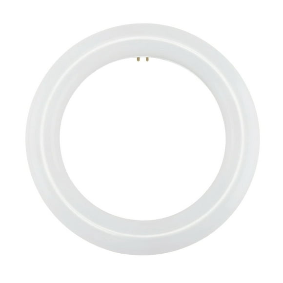 NYLL - 8 Inch/ 8" Plug & Play T9 Circline LED Lamp - Daylight (6000K) Circular Bulb Directly Relamp & Replace 22 Watt Fluorescent Bulb FC8T9/D (Without rewiring or Modification) - Ballast Required!