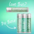 thumbnail image 3 of Delight Naturals Peppermint Tea Tree Lip Balm - 3 Pack, 3 of 4