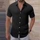 thumbnail image 1 of Blusa y camisa de manga corta con cuello vuelto para hombre, color liso, informal, holgada, con botones, de poliéster, 1 of 7