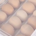 thumbnail image 4 of Thinsony Fine Crafted Double-Layer Egg Organizer For Kitchen And Can Inhibit type+1, 4 of 6