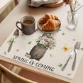 thumbnail image 3 of Rustic Groundhog Placemats Set of 4 Spring Floral Butterfly Botanical Place Mats Indoor Wipeable Table Mats Washable Cloth Dining Table Placemats for Kitchen Holiday Party Home Decor 13x19 Inch, 3 of 9
