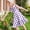 Purple, variant on Eltusu Girls Dresses, Crewneck Printed Casual Sleeveless Summer Clothes Black Size 7-8 T
