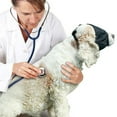 thumbnail image 4 of Dog Calming Anxiety Relief Eye Shading Cover Anti Car Sickness Muzzle Blindfold, 4 of 8