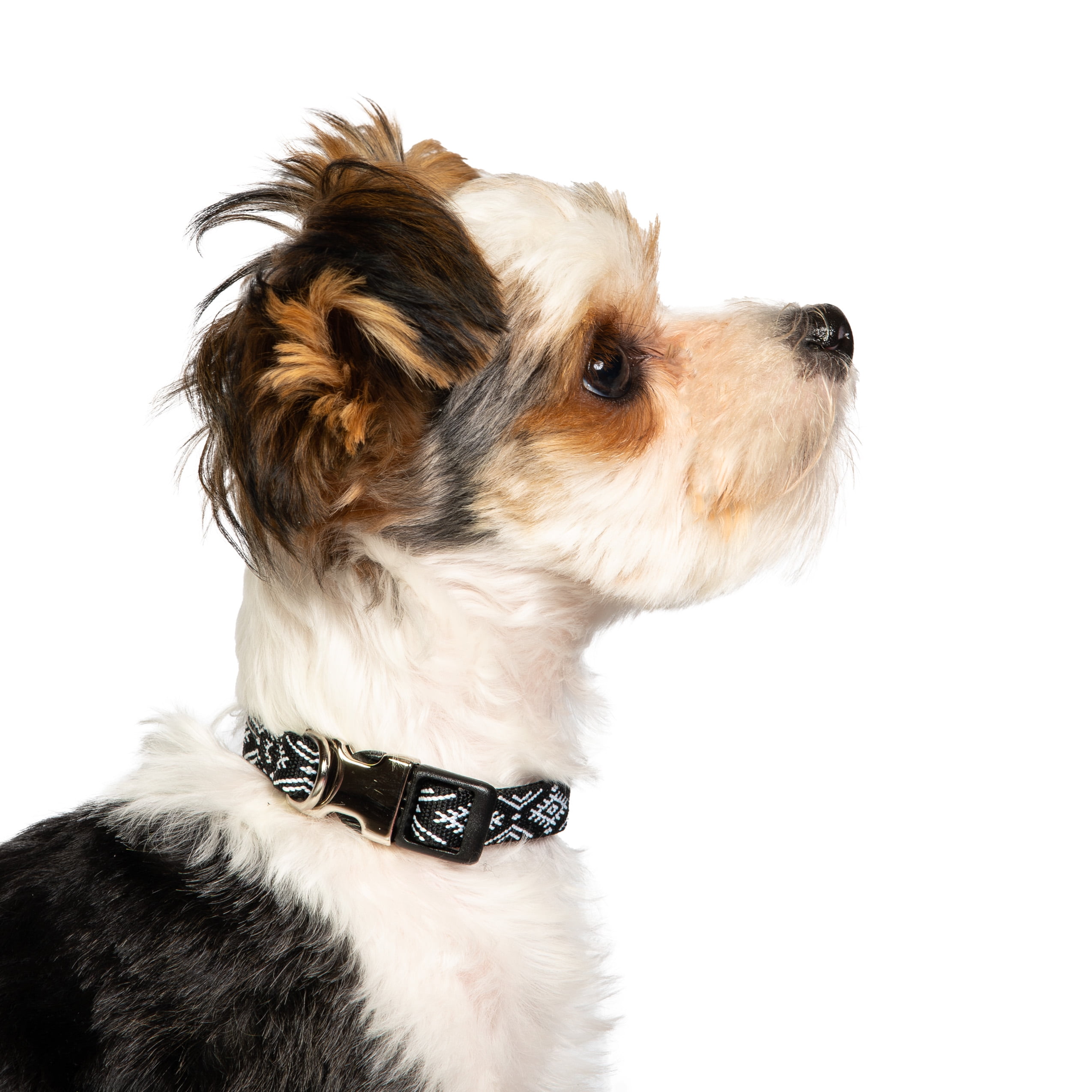 Vibrant Life, Dog Collars, Diamond  Print Fashion Pet Collar, Multi-Color, Size XS