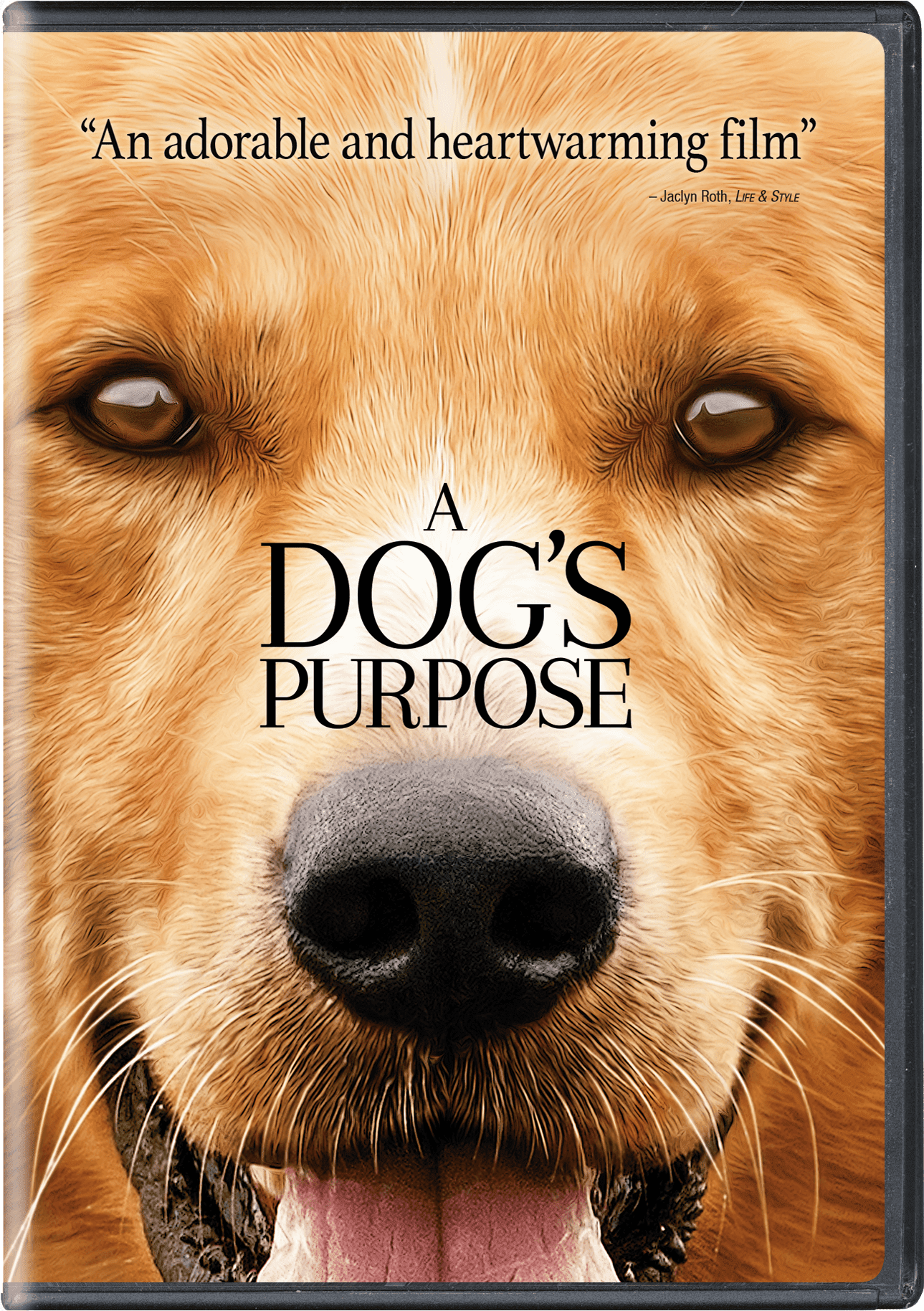 A Dog's Purpose (DVD) - Walmart.com