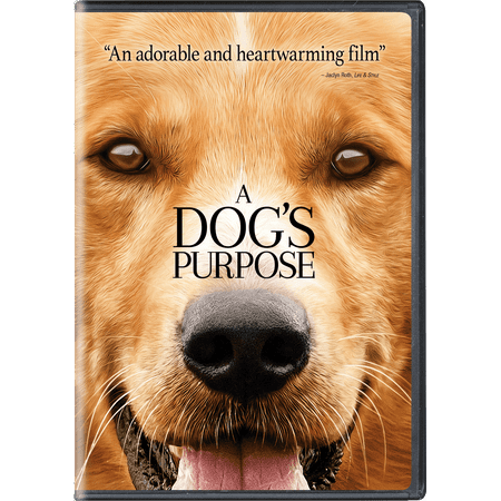 A Dog's Purpose (DVD) (The Best Dog Videos)