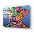 thumbnail image 2 of Epic Art 'Rocco ' by Dean Russo, Acrylic Glass Wall Art, 24"x16", 2 of 8